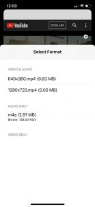 Select format - video or audio